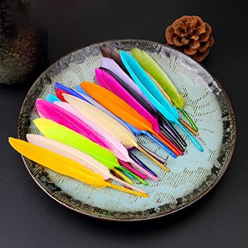 Pene YECHUN pentru meșteșuguri / pene colorate-pene colorate pentru meșteșuguri Dream Catcher Bijuterii decorare, pene DIY