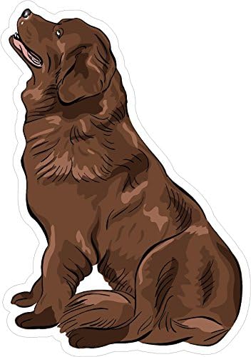 Câine Newfoundland 7x5 inci cel mai bun prieten al omului cățeluș Animal America Statele Unite Murica autocolant Color Decal