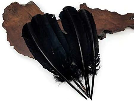 6 Piese - Curcan Negru Runde Pene Secundare Aripa Pană De Halloween Cosplay Costum De Aprovizionare / Moonlight Feather