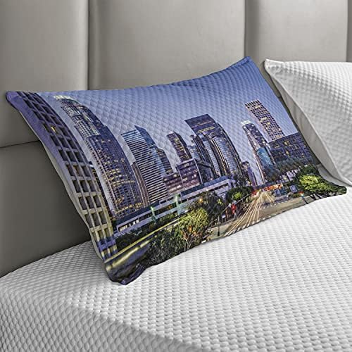 Pillow Pillow Pillow, Los Angles California Skyline Urban SUA, Cityscrapers Cityscrapers Highway Avenue Avenue Avenue, Standard