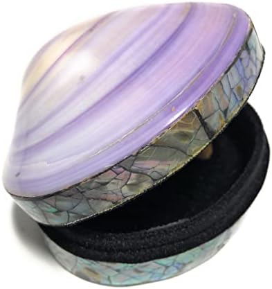 Tikimaster Seashell Keepsake Box Medium - Purple - Decor de coastă | Sur28001