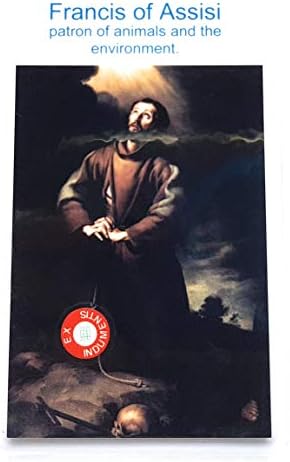 Relic Card Clasa a III -a a Sfântului Francisc al Assisi Patron al animalelor Mediul Italiei Scouts San Francisco California