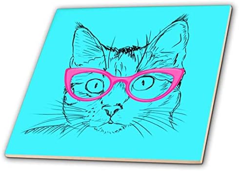 Pisica 3D Rose Hipster cu ochelari roz placi ceramice, Multicolore