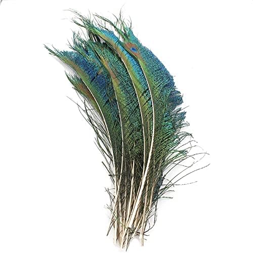 Ttndstore 20buc / Lot pene de păun aripa 12-14 Păun Bijuterii pene de păun Decor pene pentru haine Plumas Carnaval Plume-18161